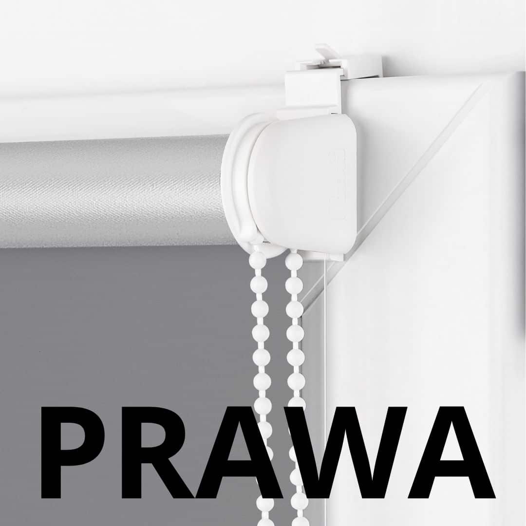 prawa